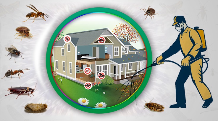 Beypazarı Böcek İlaçlama